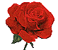 rosared.gif (2071 byte)